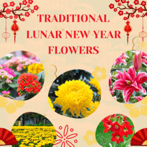 Lunar New Year Flowers